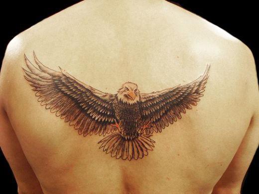 tetovanie orla na zadnej strane